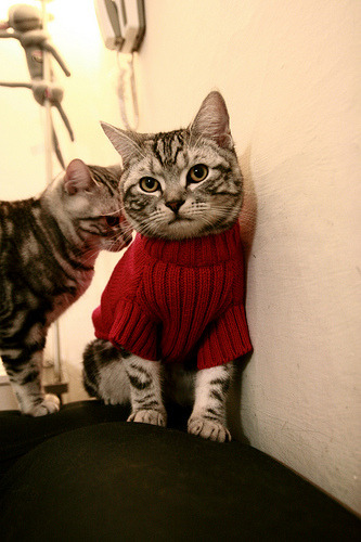 “沙滩合球:天府新区沙滩赛场迎来新明星运动”