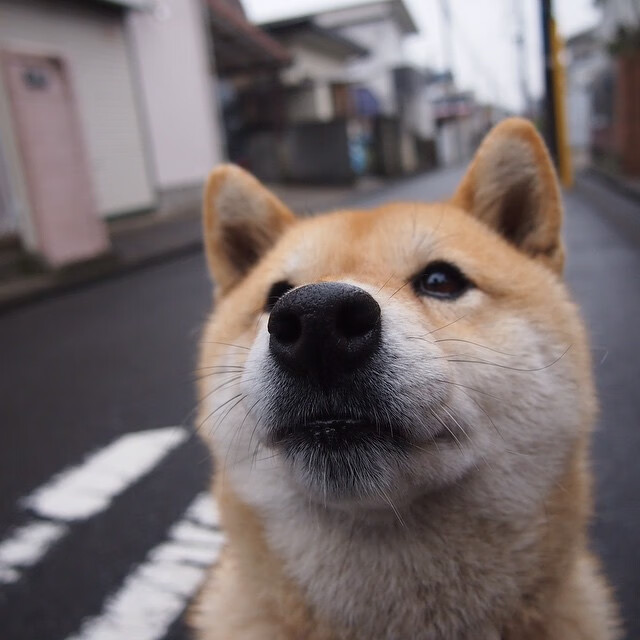 爱游戏体育-中国三人篮球女队坚持科学训练，中国女子三人篮球队百度百科