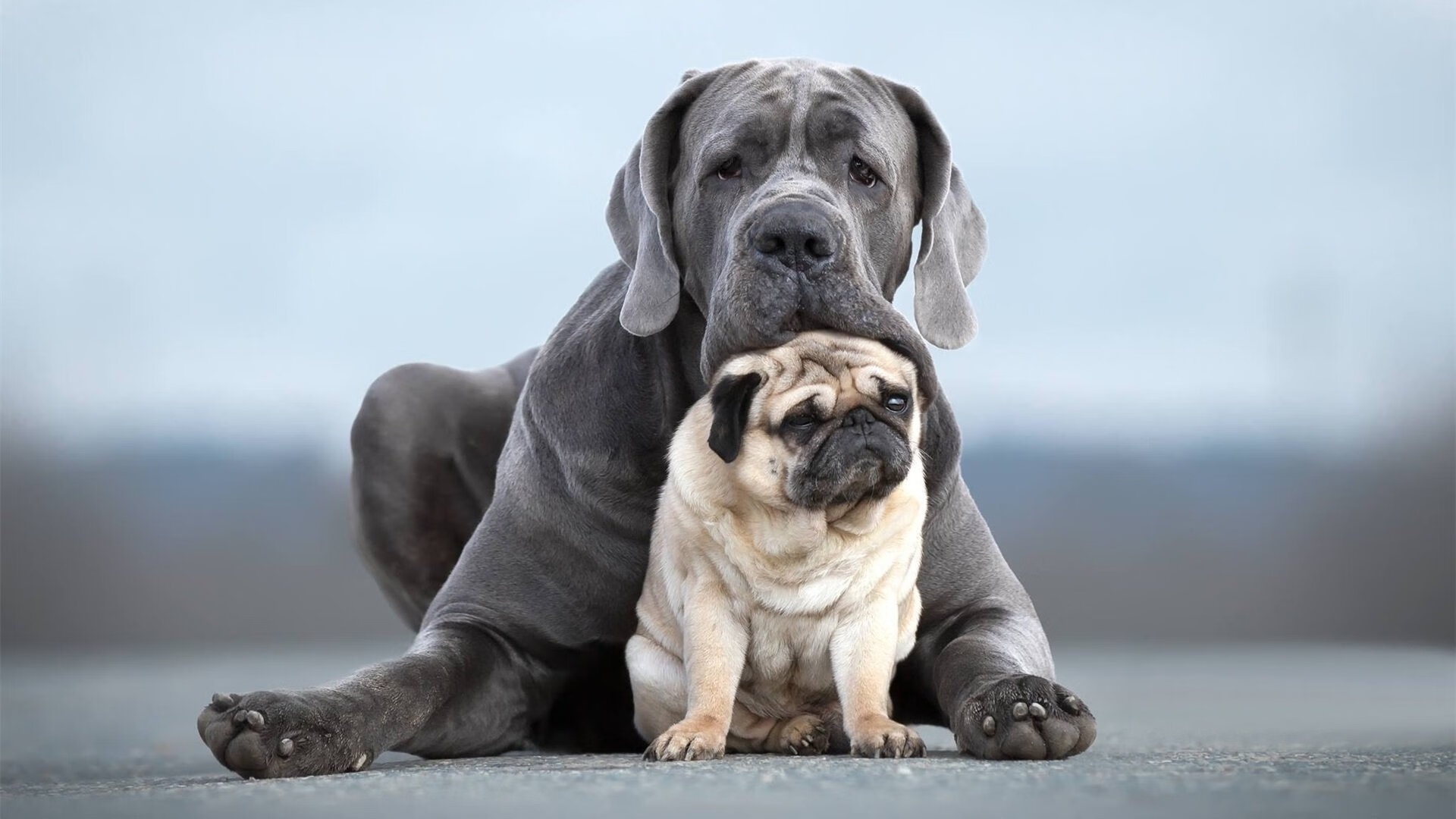中国三人篮球男队稳中求进,中国三人篮球男篮