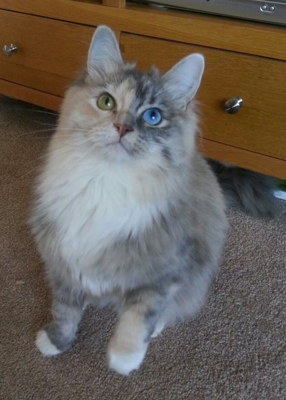 中国男篮提升体能训练 强化比赛耐力,中国男篮体能不够