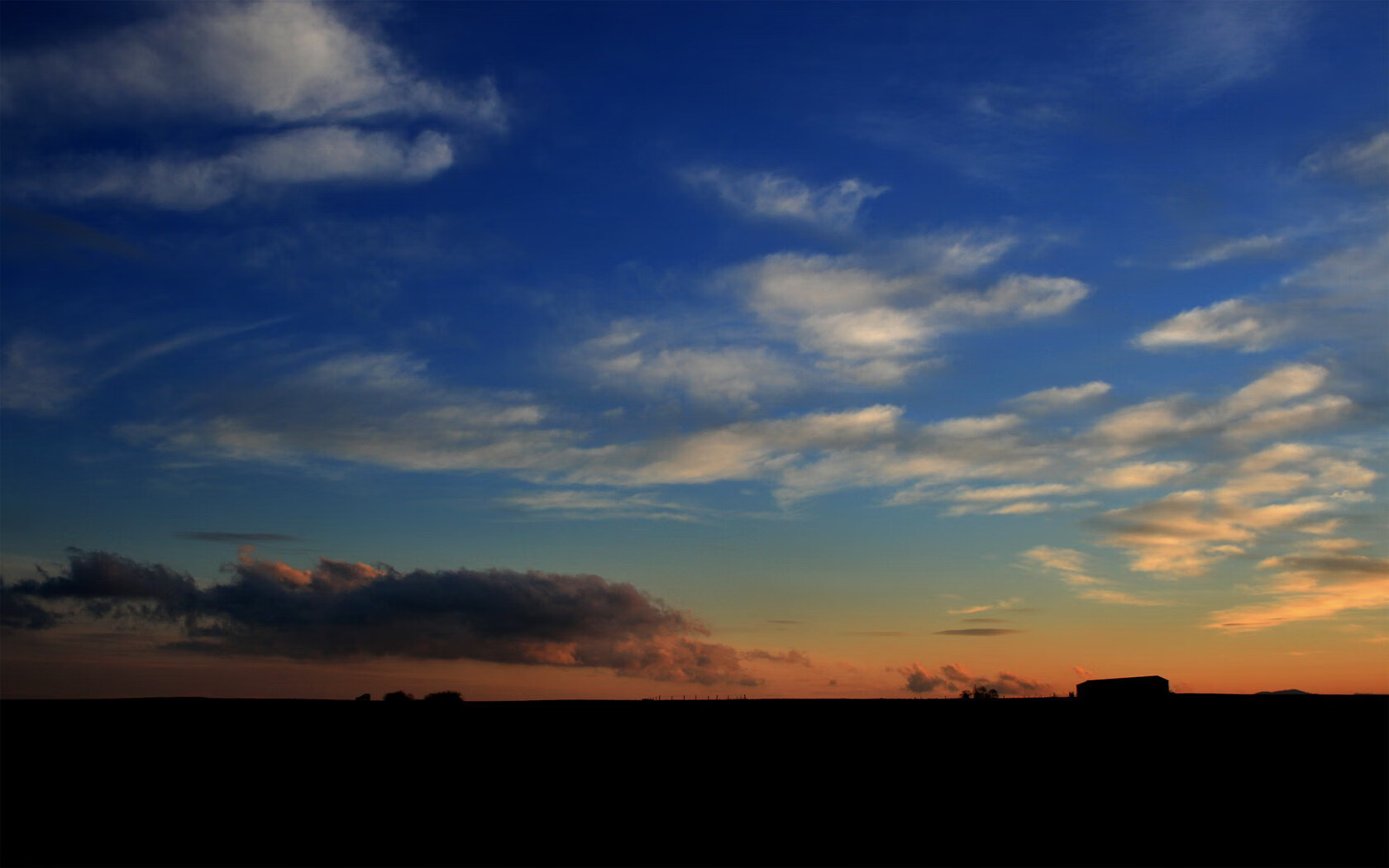 中国篮球是否缺乏职业荣誉感激励体系,中国篮球队荣誉