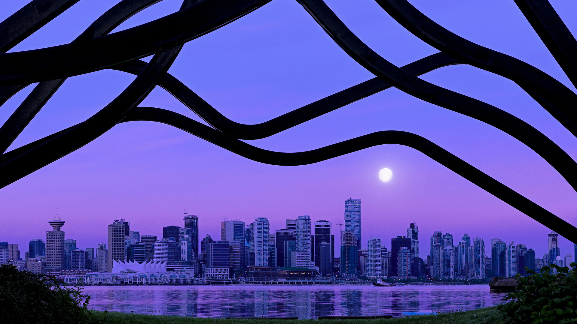 中国篮球是否缺乏职业荣誉感激励体系,中国篮球队荣誉