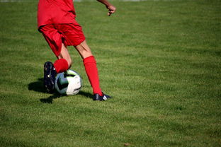 爱游戏体育娱乐-内线球员在快节奏体系下的功能性演变，内线球员的主要作用