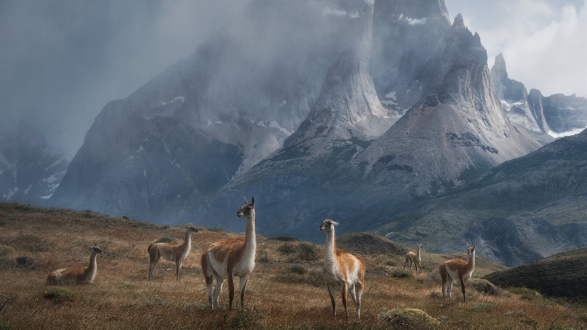 多名年轻选手崭露头角,未来可期