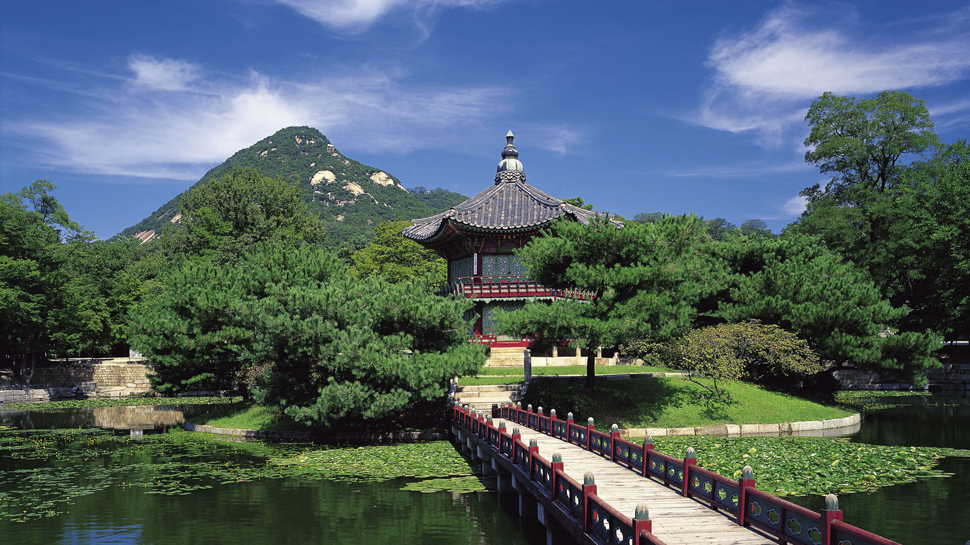 世界杯逆天助攻:精彩瞬间点燃绿茵场!,搜索世界杯助攻