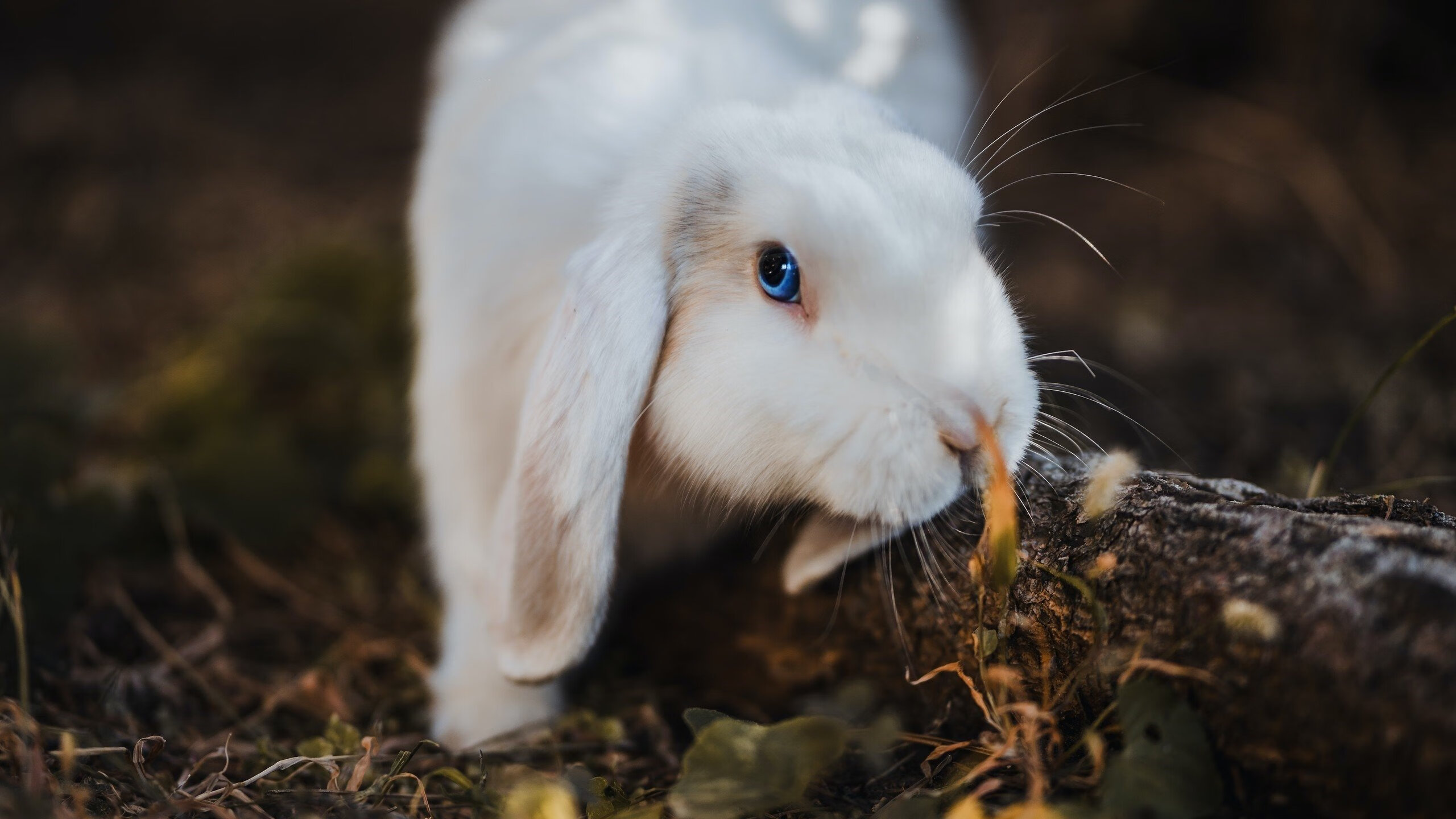 爱游戏体育-体育新闻中心发布国家高水平训练队遴选方案，教育部与体育总局关于高水平运动队招生的新规