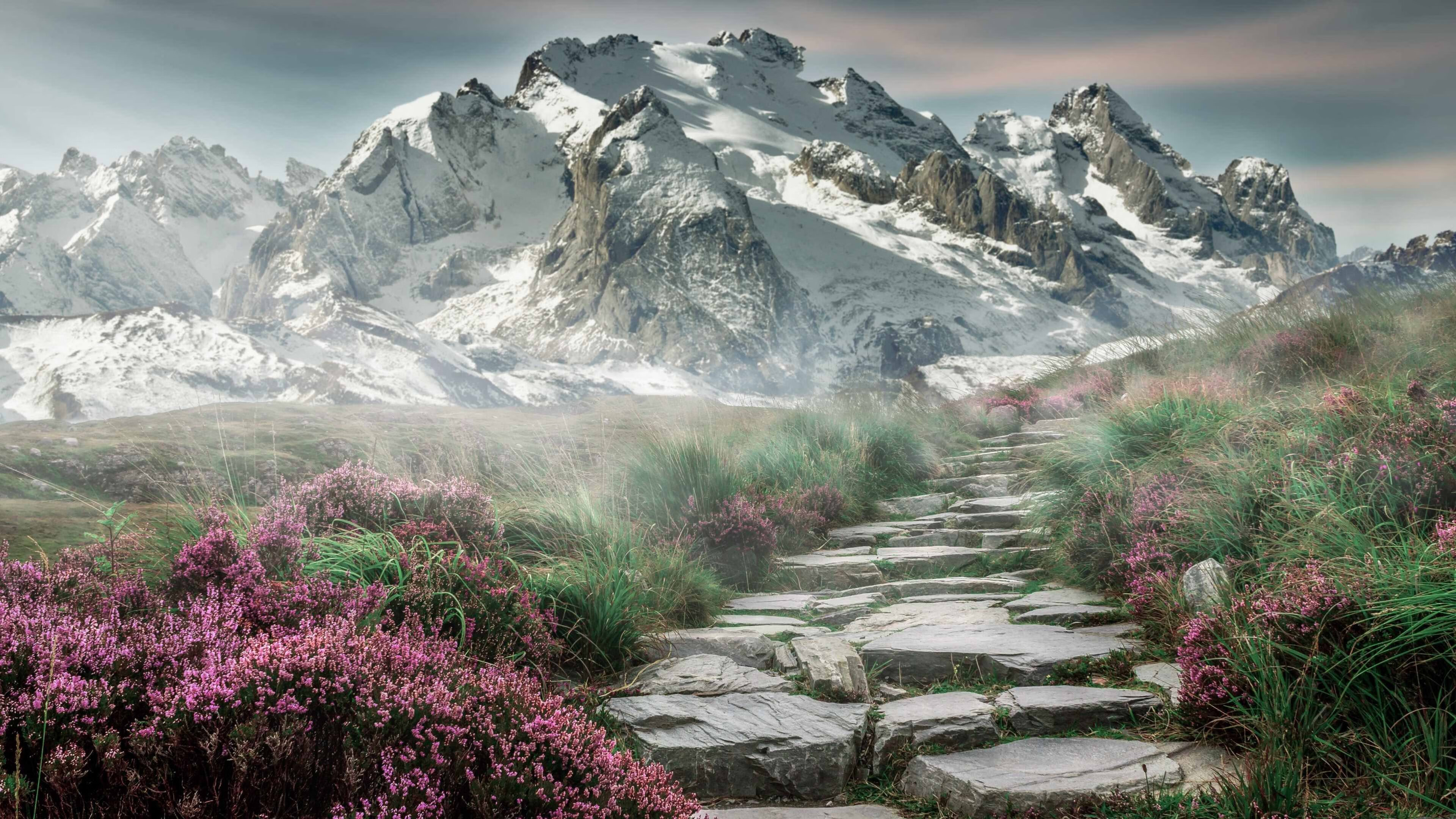 克洛普持续创新战术,带领利物浦冲击更高荣誉