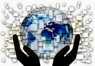 爱游戏体育官网-国家滑板协会公布全国青少年排名更新机制，国家滑板队训练中心