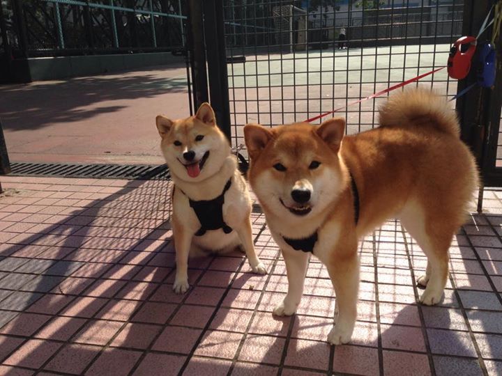 多名年轻选手首次亮相赛场就表现出色,lol最年轻的选手