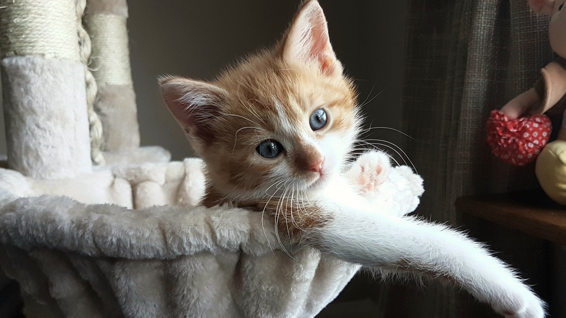 爱游戏官网充值-希腊女篮在欧洲锦标赛中再夺金，传统豪门永远不可战胜，希腊u20女篮