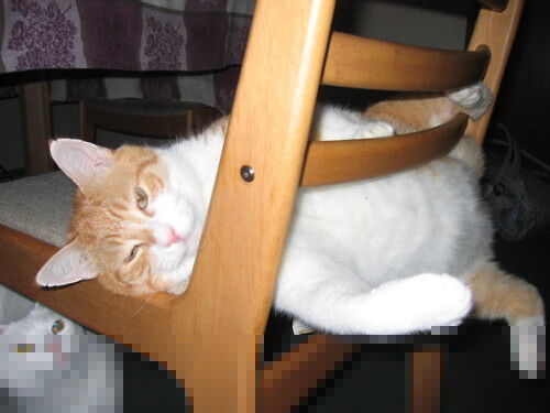 爱游戏体育下载-文莱男篮在亚洲锦标赛中奋勇争夺，信心满满