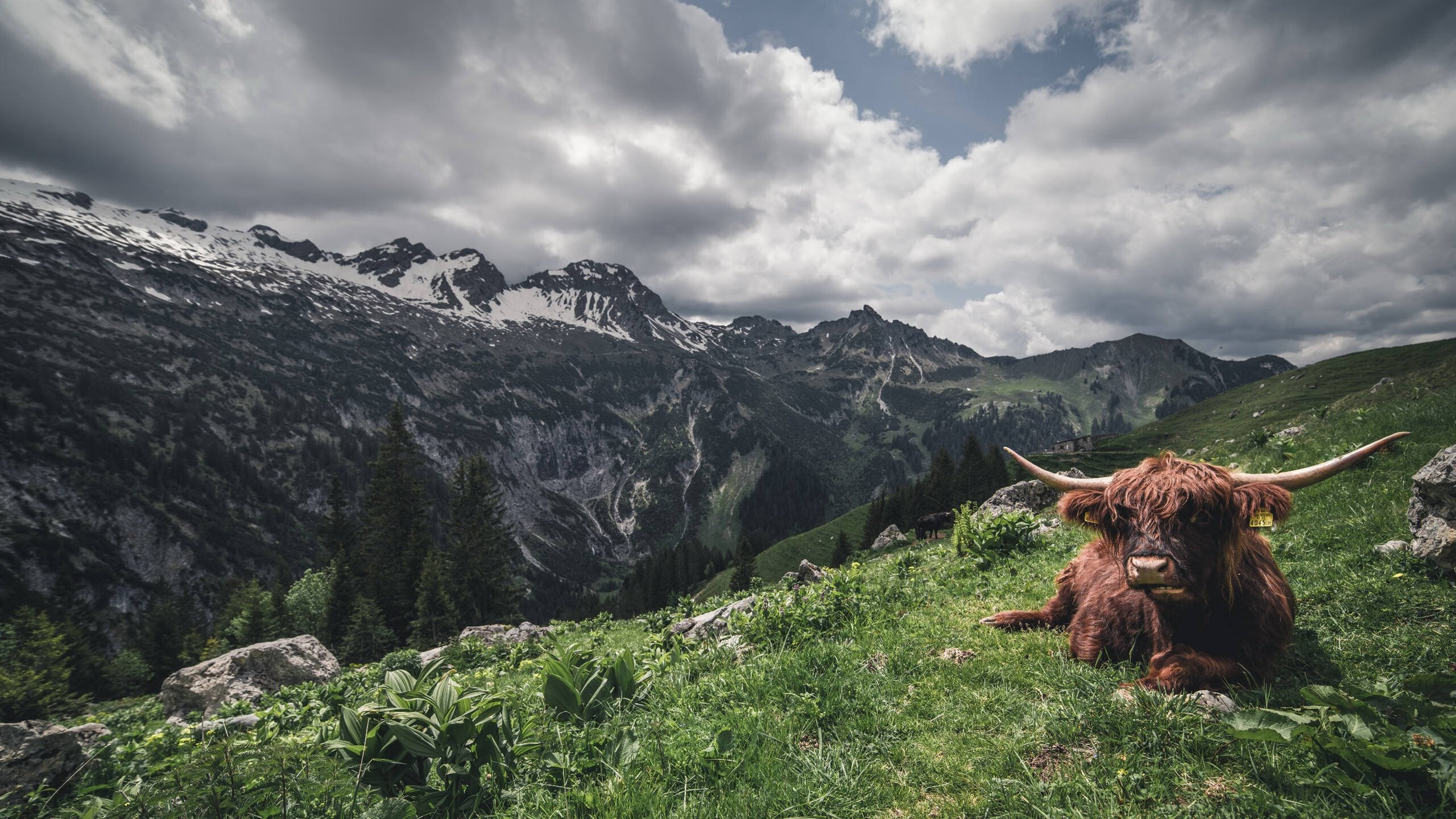 爱游戏官网app-水球小组赛突尼斯战术灵活多变